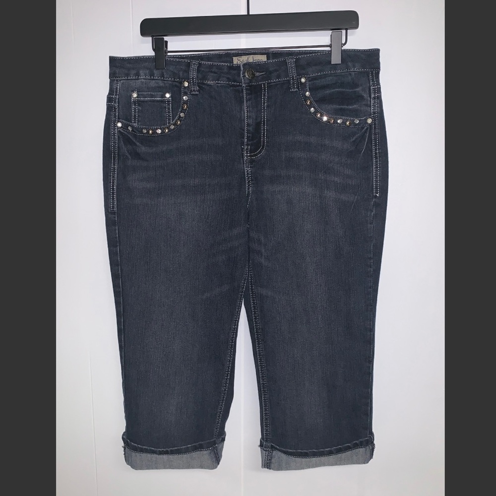 ✨EARL JEAN CAPRIS *NWOT* SIZE 12✨